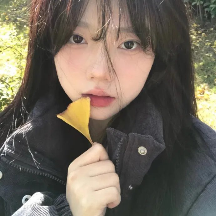 风雨骑手